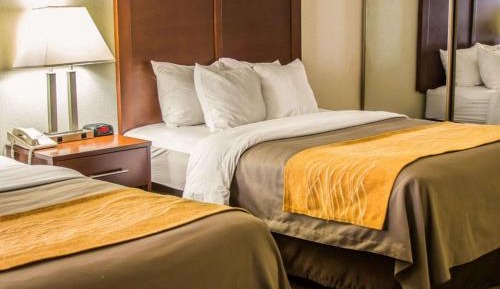 Queen Room with Two Queen Beds - Non-Smoking