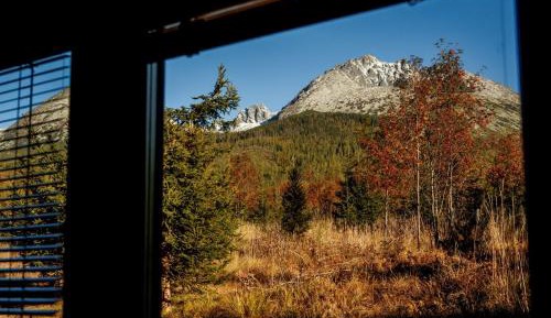 Apartment with Mountain View