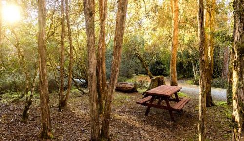 Backpacker Single (Female)