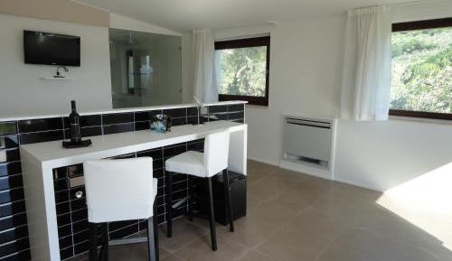 Studio with Terrace