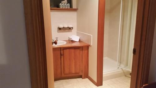 Deluxe Queen Suite