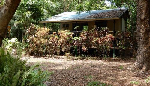 Bungalow with Garden View