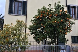 Lajatico Apartment | Casa di Mario