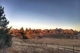 Julian Cabin | The Deer Shed at Komorebi (Glamping)
