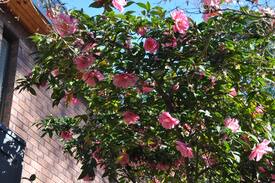 Ferntree Gully Villa | Mountain Gate Villa - Spacious Bedroom