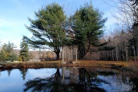 Southwest Harbor Cabin | Cranberry Cottage in Acadia, 5 min walk into town!