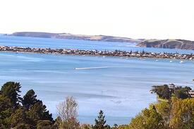Whangateau Cabin | Pine Tree Cottage Matakana