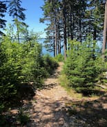 Hancock Point House | Tidal Vista, Downeast Maine
