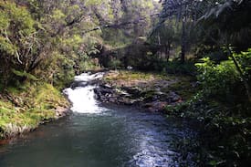 Waipapa Cabin | Shepherds Shack - No cleaning fee.