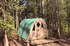 Seal Cove Other | Coyote's Den at The Howling Woods