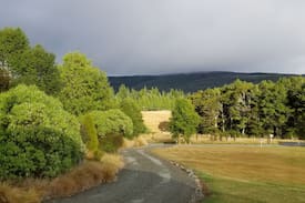 St. Arnaud Bed & Breakfast | Nelson Lakes Homestay - snug and cosy with views