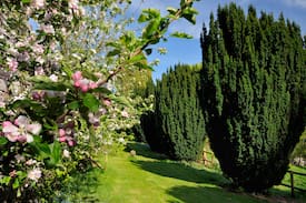 Letham Grange House | Angus Hidden Gem