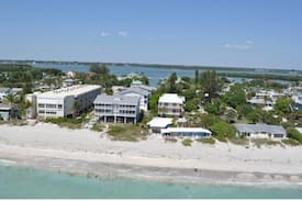 Englewood House | Blue Dolphin on the beach! Sharks teeth, Shells!