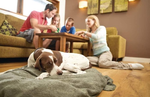 North York Moors National Park Cabin | 3 bedroom accommodation in Cropton, Pickering