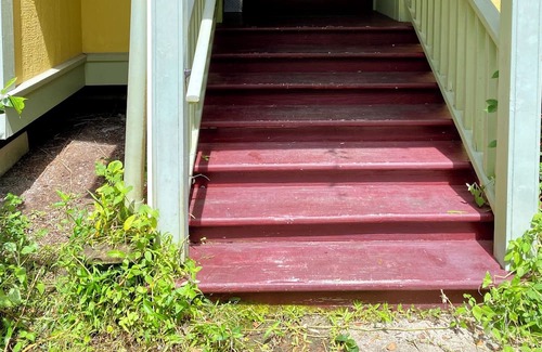 Pahoa Cottage | Da Jungalow sleeps 4, 10 minutes from Pahoa town, Kalapana and Black Sand Beach!