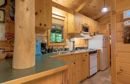 Gatlinburg - Pigeon Forge Cabin | Cozy Bear 1 Bedroom Cabin