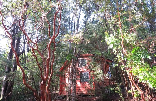 Pucon Cabin | Cabaña Arrayán