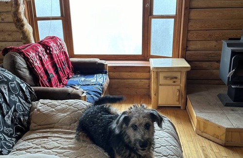Woodland Park Cabin | Nice cabin with WiFi in charming Woodland Park