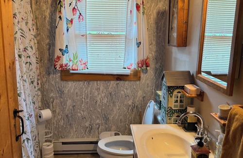 Conway Cabin | Cozy 3-bedroom cabin in welcoming Conway with AC, WiFi