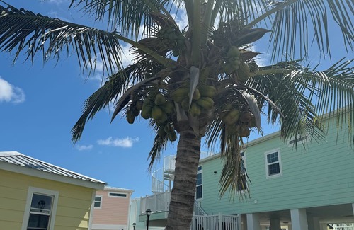 Jensen Beach House | Intercoastal Waterway home in Jenson Beach, Florida