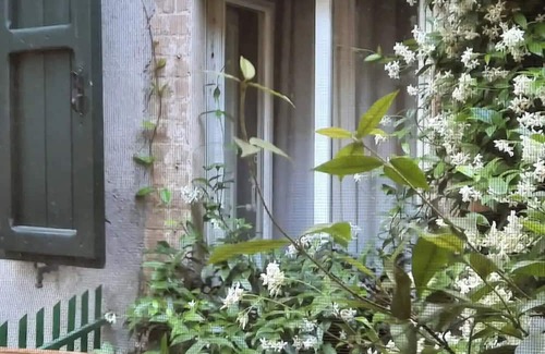 San Quirico d'Orcia House | The House of Two Vines