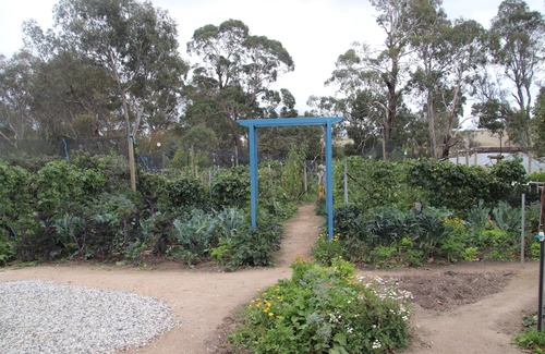 Metcalfe House | Unwind in a cosy bungalow in the midst of our organic permaculture mini-farm.