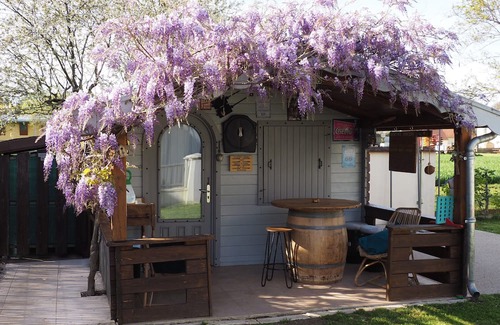 Brazey-en-Plaine Cabin | LA P'tiote Cabane Ecoresponsable Entre Vignes ET Saône