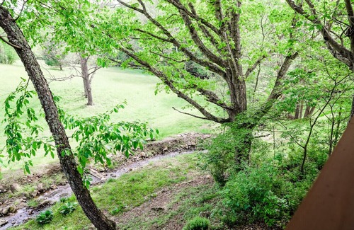 Burks Fork Cottage | New! Joy Cottage - the perfect place for romance, by Buffalo Mtn Getaway
