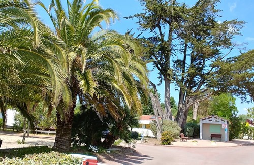 Saint-Pierre-d'Oleron Ski Chalet | Holiday home on the island of Oléron in a residential park with heated swimming