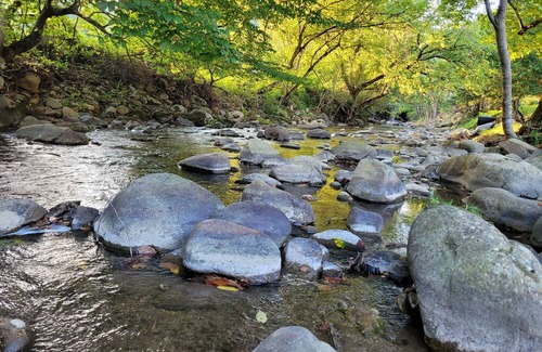Del Rio Cabin | Enjoy Mother Nature and Spring at The Spot!