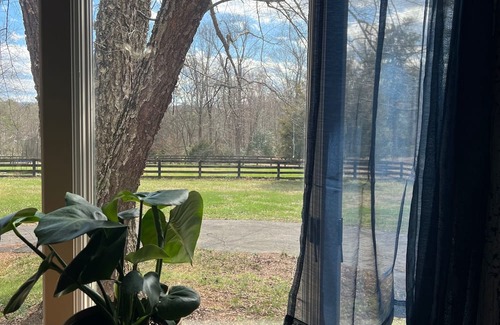 Charlottesville Cottage | Wine Country Cottage in charming Charlottesville /Ivy VA - WiFi AC Pets Welcome