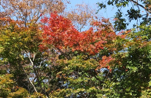 Nasu RV Rental | Grace With private openair bath WeekdaysCapaci / Nasu county Tochigi