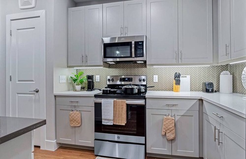 Fort Worth Apartment | Palatial Luxury - 1 King BR | Pool | Gym | Laundry