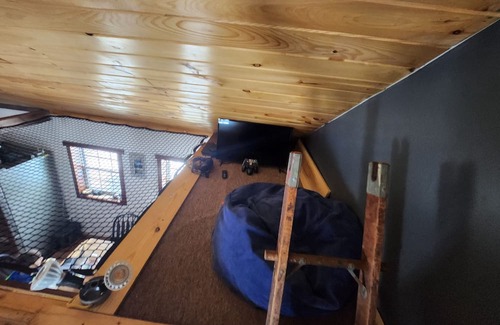 Dolgeville Cabin | COZY cabin in Adirondacks, view of the Millyway . Feel the stress melt away