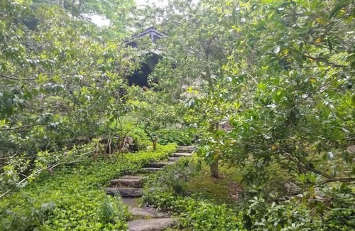 Bedford Cottage | Adirondacks in Westchester 2