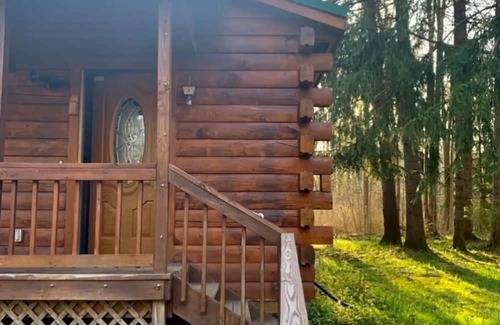 Jamestown Cabin | Peaceful Cabin on acres w/ pond by Chautauqua Lake. Hike, fish, ski, & boating!