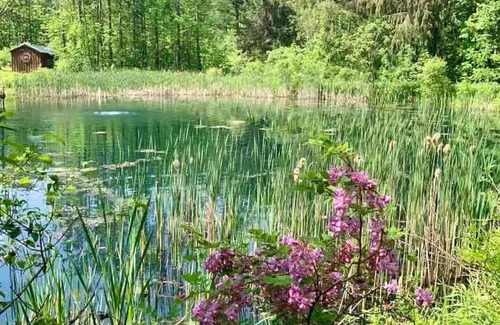 Jamestown Cabin | Peaceful Cabin on acres w/ pond by Chautauqua Lake. Hike, fish, ski, & boating!