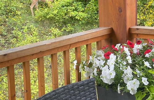 Terrace House | Upper Cottage Retreat on Churchill, Terrace