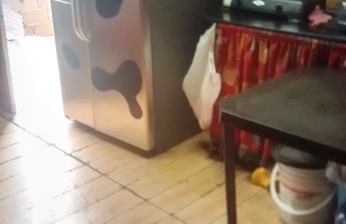 Manrique Cabin | Cozy cabin up the hills