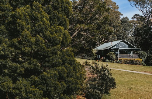 Kangaroo Valley Cabin | Jimmy’s Cabin in Kangaroo Valey. Kangaroos, Kookaburras, sleeps 4!