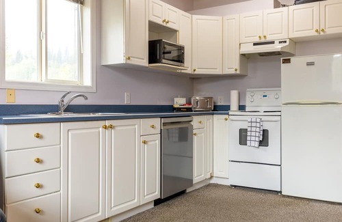 East Kootenay Condo | 5 Mins from the Resort | Sleeps 3 | Dog Friendly