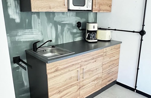 Laussnitz Apartment | Carotel Industrial Style meets Waldesruhe with a dog
