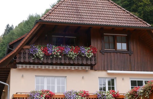 Wolfach - Saint Roman Apartment | Apartment 'Eulennest' with Shared Pool, Private Terrace and Wi-Fi