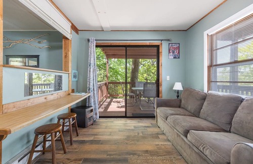 Diamond City Cabin | 1bed/1bath cabin with beautiful views of Bull Shoals Lake.