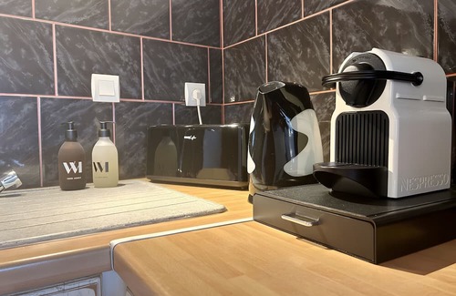 Saint-Pierre-d'Albigny Apartment | Le chat de lamartine - air conditioning, parking, wifi - clg savoie