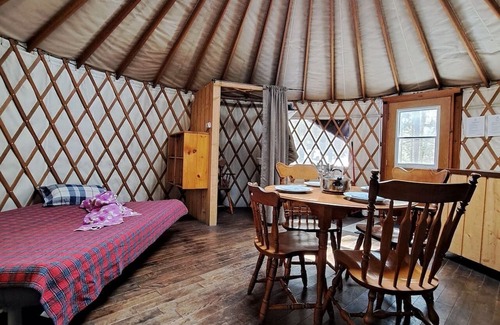 Saint-Etienne-De-Bolto Cabin | Ecological, intimate and immersive yurt: Le Lièvre