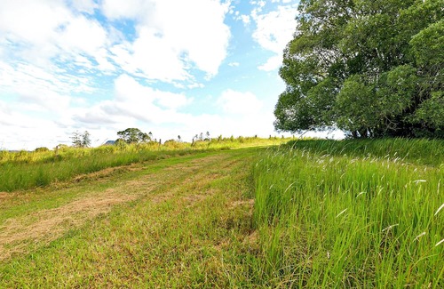 Pinbarren Cottage | Shadowed by both Mt Cooroora and Pinbarren Mountain