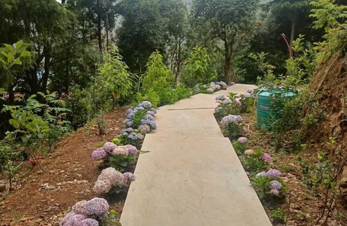 Bhowali Cottage | Nerve Cottage Homestay - Bhowali, Nainital