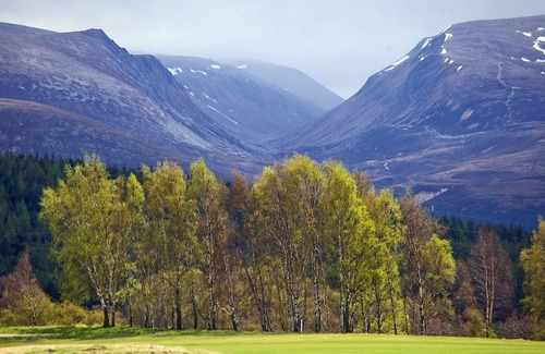 Aviemore Apartment | Charming two-bedroom pet friendly property with fire