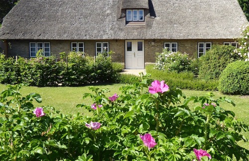 Immenstedt Apartment | Koopmanns-Hus Extraordinary-Hyggelig-under a thatched roof for 2 persons